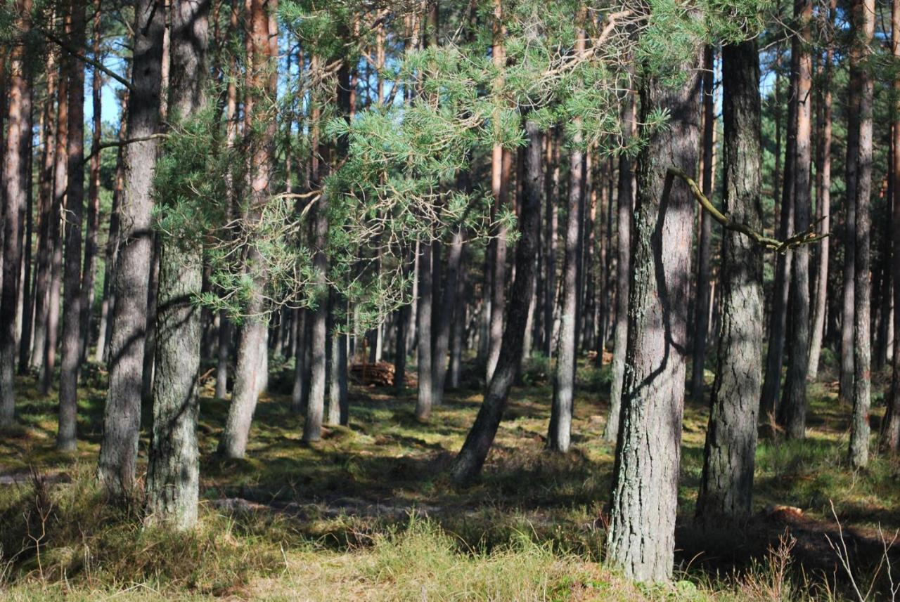 Vila Kalinowa14 Kopalino Exteriér fotografie